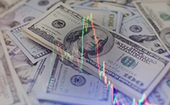 中金印度消费REIT：邱延冰，基金管理公司副总经理